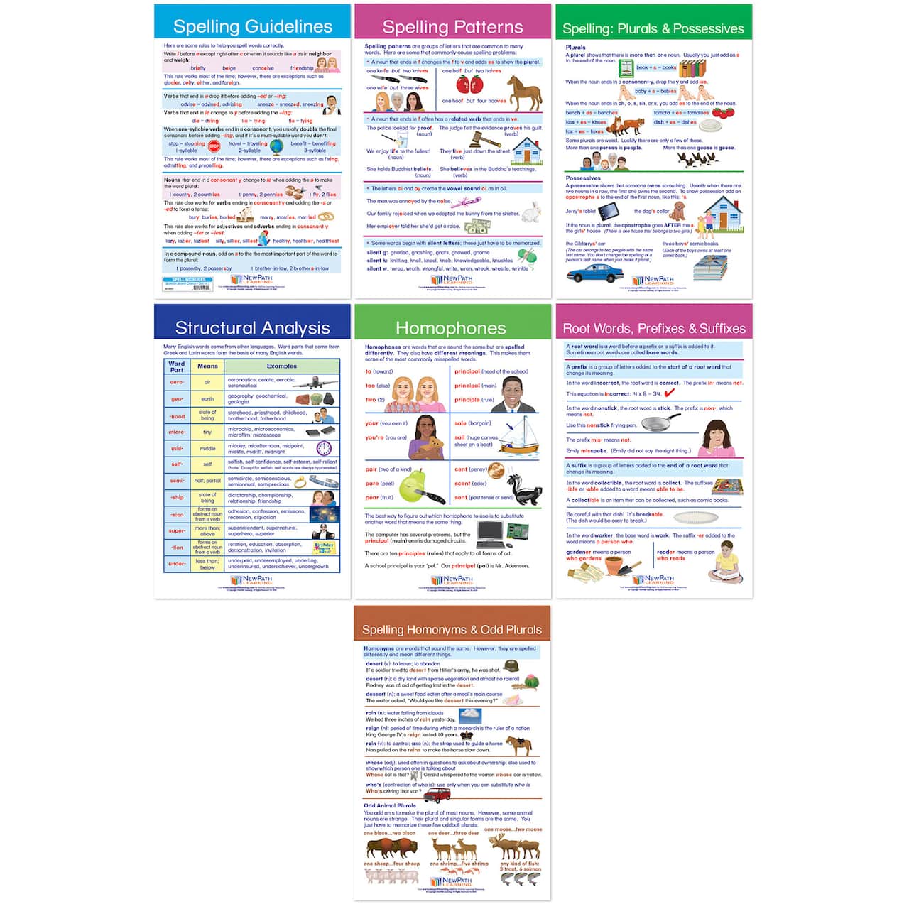 NewPath Learning® 18" x 12" Spelling Rules Bulletin Board Chart Set